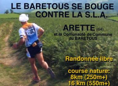 Cliquez pour agrandir l'image Cliquez pour agrandir l'image